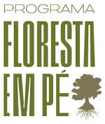 Floresta em Pé